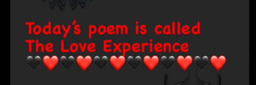 Cover image for post The Love Experience, by Mimilov45