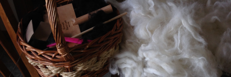 Cover image for post I Am A Spinner, by LoriPrieur