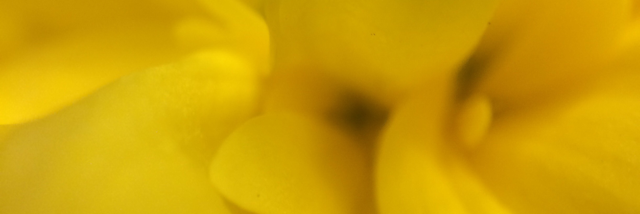 Cover image for post Untitled, by The_Rock