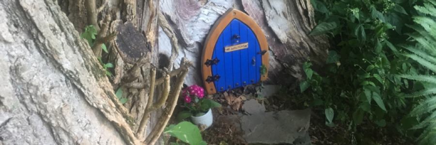 Cover image for post A gift from yesterday, by Sjkelly