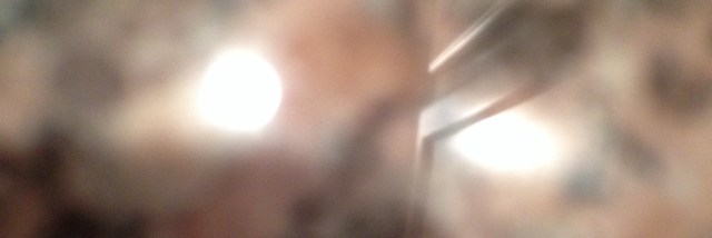 Cover image for post Into the Sun, by jessie