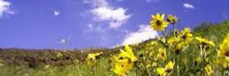 Cover image for post resurrection's colors, by wordSwork