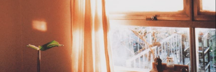 Cover image for post the easy stillness of an afternoon light, by anarosewood