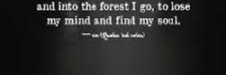 Cover image for post Soul, by sandflea68