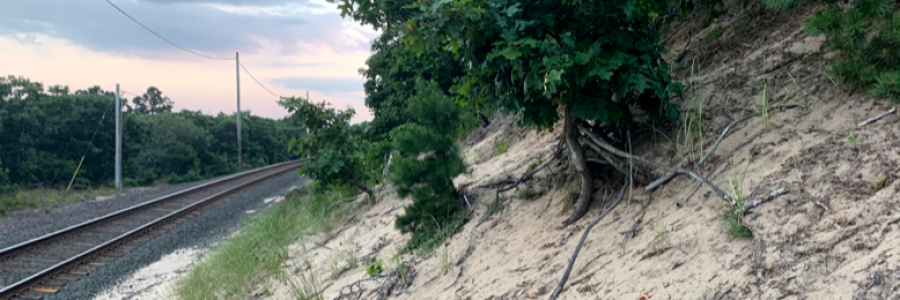 Cover image for post no wonder the lullabies prepare us to crash down, by sisyphish