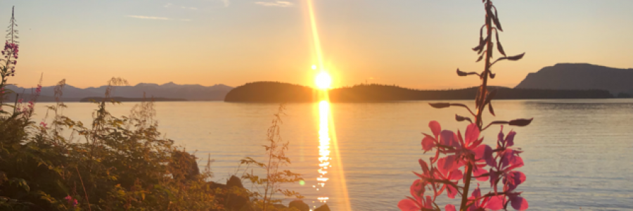 Cover image for post The Color of Summer, by northernlight