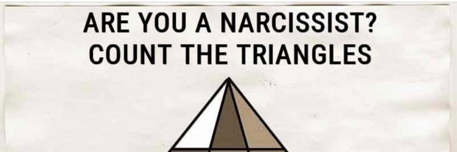 Cover image for post You say I'm a narcissist, by Tenuoussunshine