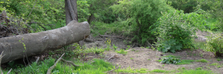 Cover image for post B'other, by LexiCon