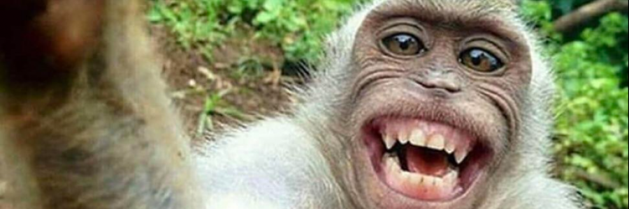 Cover image for post 3 Jokes - A Little Humor For The Soul, by Danceinsilence