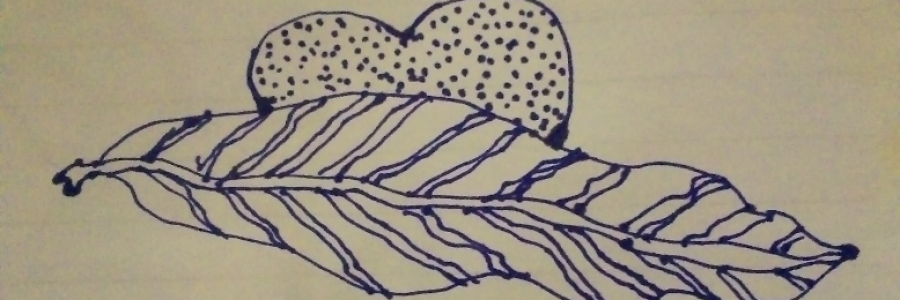 Cover image for post Themyscira, by James