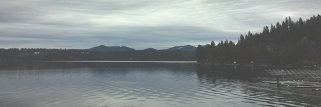 Cover image for post Homesick, by Naomi