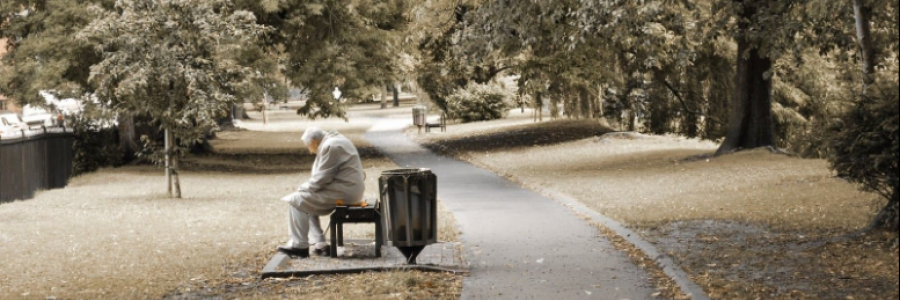 Cover image for post Sayonara, by Sanjana_S