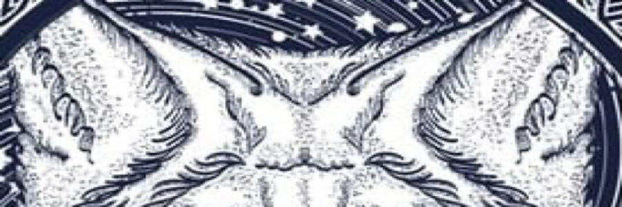 Cover image for post Coyote of your Soul, by EVADPENDELL