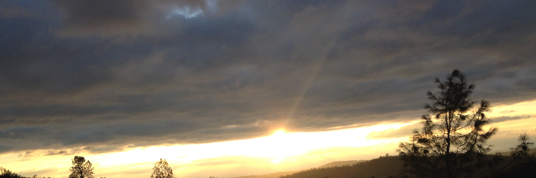 Cover image for post Loss, by vhutchy