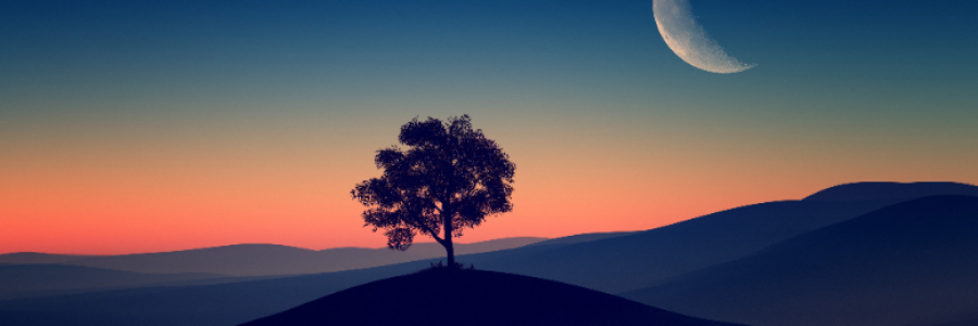 Cover image for post Chapter 1: Graham, The Little Blade of Grass?, by Chacko_Stephen