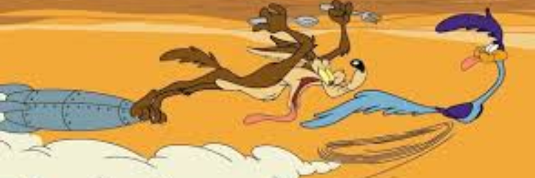 Cover image for post Wile E Coyote, by sandflea68