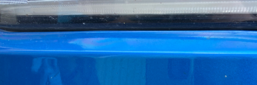 Cover image for post Blood Owed, by Genicida