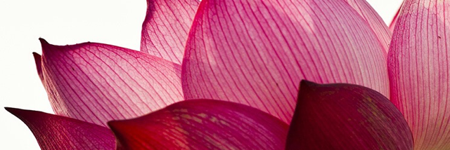 Cover image for post Tradewinds, by ggravendust