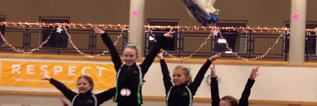 Cover image for post Gymnastics, by Gymnastics