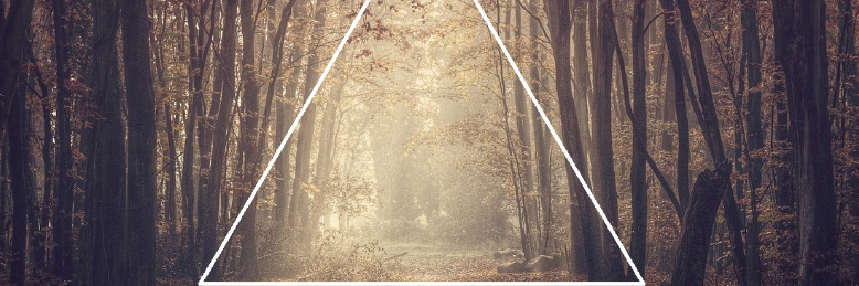 Cover image for post The Girl Who Saw Him, by Day_Dreamer