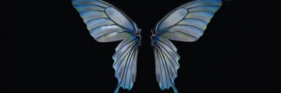 Cover image for post Het: The Monarch Fae Prince, by AutumnRosely