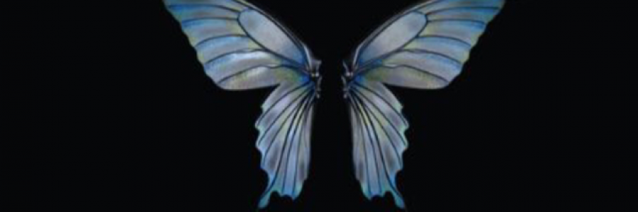 Cover image for post Het: The Monarch Fae Prince, by AutumnRosely