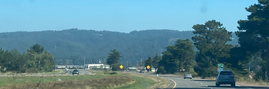 Cover image for post Heartsong adventurer, by AprilColes