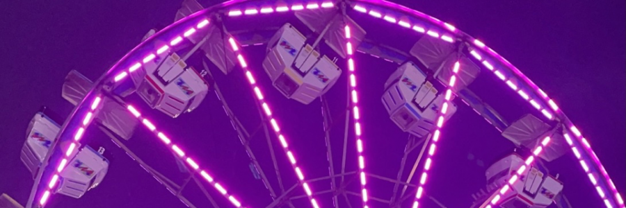 Cover image for post Start to Finish, by TaraLee