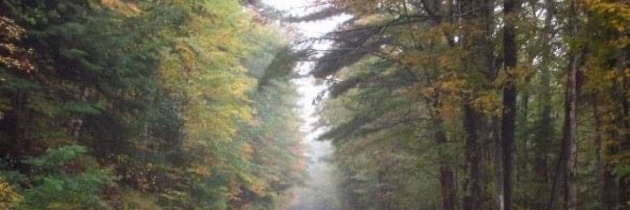 Cover image for post Tell me this wasn’t all just wasted time, by EVADPENDELL