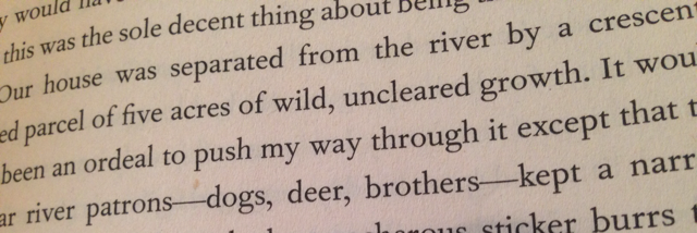 Cover image for post Reading, As Always, by StellarBee