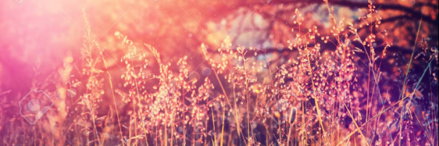 Cover image for post jars with tinted glass, by anarosewood