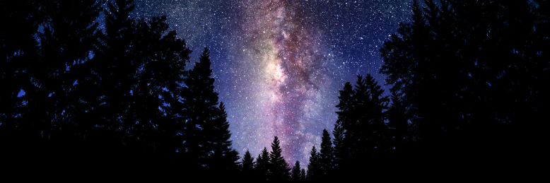 Cover image for post The Girl Who Saw Him, by Day_Dreamer