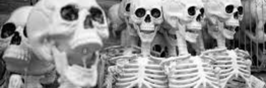 Cover image for post Skeletons on Clotheslines, by sandflea68