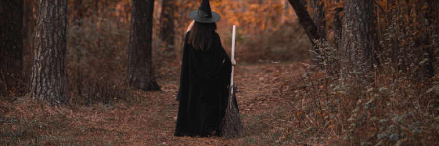 Cover image for post Sabrina, by Chacko_Stephen