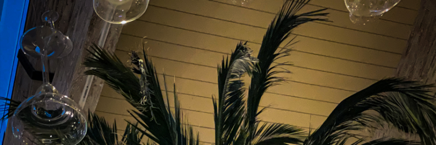 Cover image for post I’m Tired Of Feeling Tired, by Mariana_lago