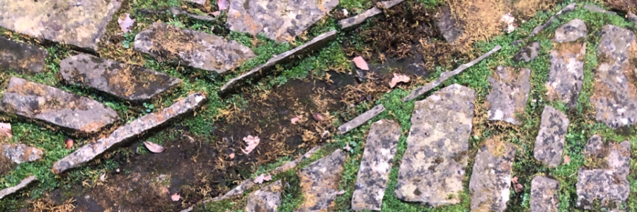 Cover image for post I must make it through, by Blume