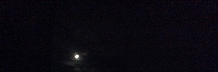 Cover image for post Death will welcome me, by Blume