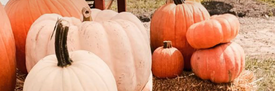 Cover image for post Wanting you to show me, by Mariana_lago