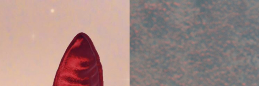 Cover image for post Love Song, by laikacons