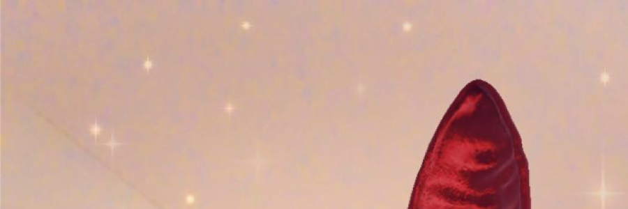 Cover image for post Introduction, by laikacons