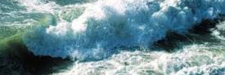 Cover image for post I Am One With the Sea, by sandflea68