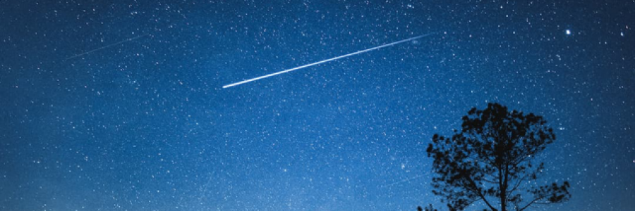 Cover image for post Saint, by Holbol