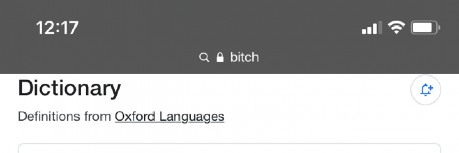 Cover image for post Bitches … be bitches, by Tyla