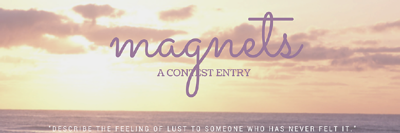 Cover image for post Magnets, by L0STF0X