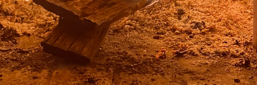 Cover image for post Burning, by FANTASYENTITLED