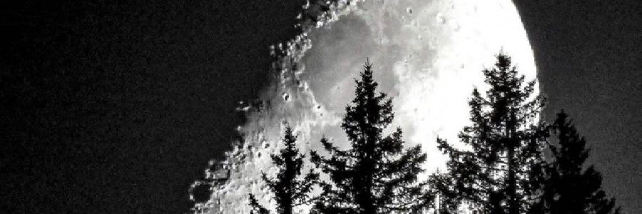 Cover image for post Untitled, by Hohangya