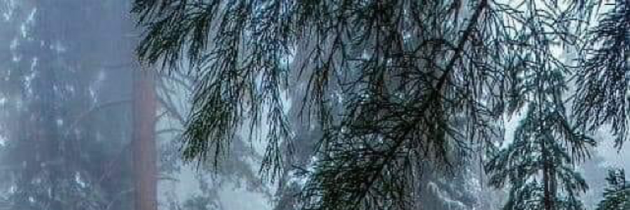 Cover image for post Grateful, by brderaoui