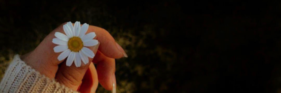 Cover image for post Untitled, by Hohangya