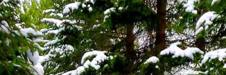 Cover image for post It’s Winter, by brderaoui