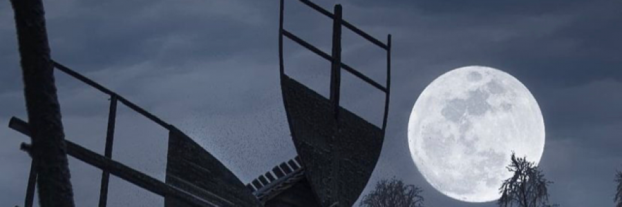 Cover image for post Too old, by Hohangya